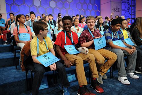 Speller Login Information